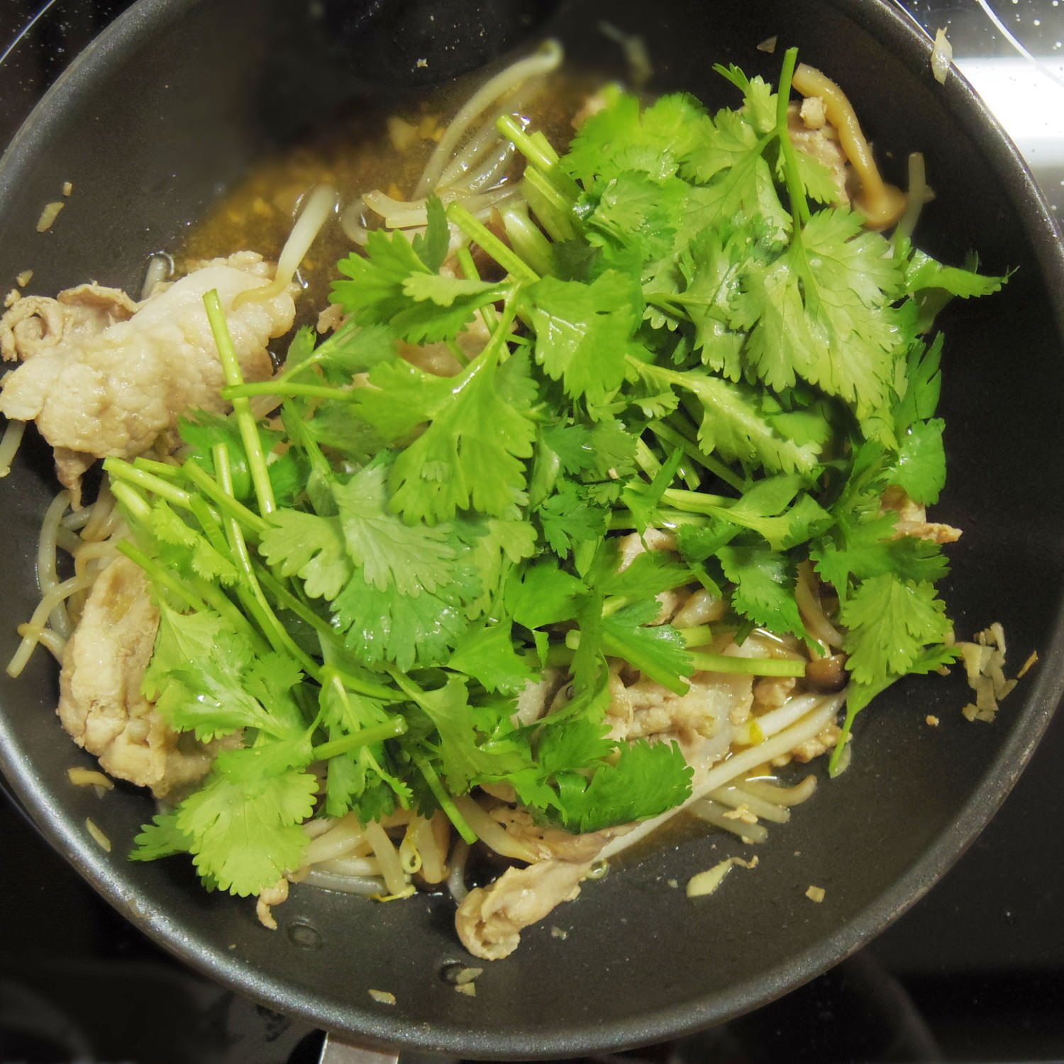 corianderfood2
